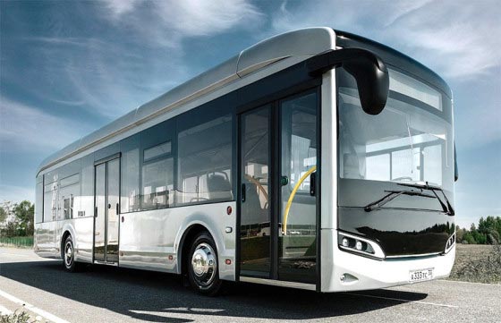 Bus
