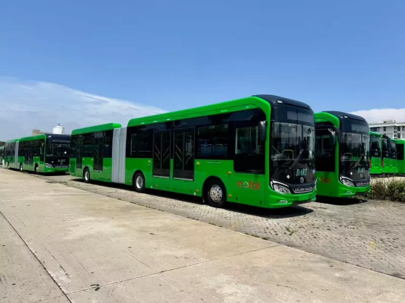 Golden Dragon Buses